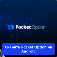 Pocket Option Android